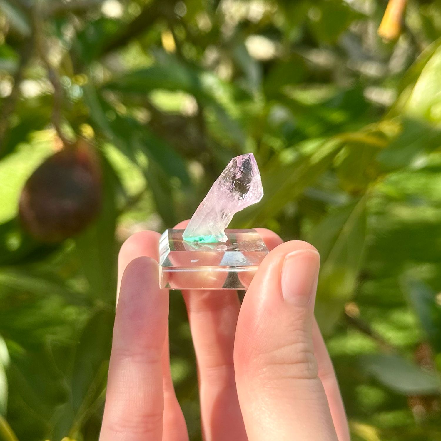 Cruz Amethyst Specimen On Glass Stand
