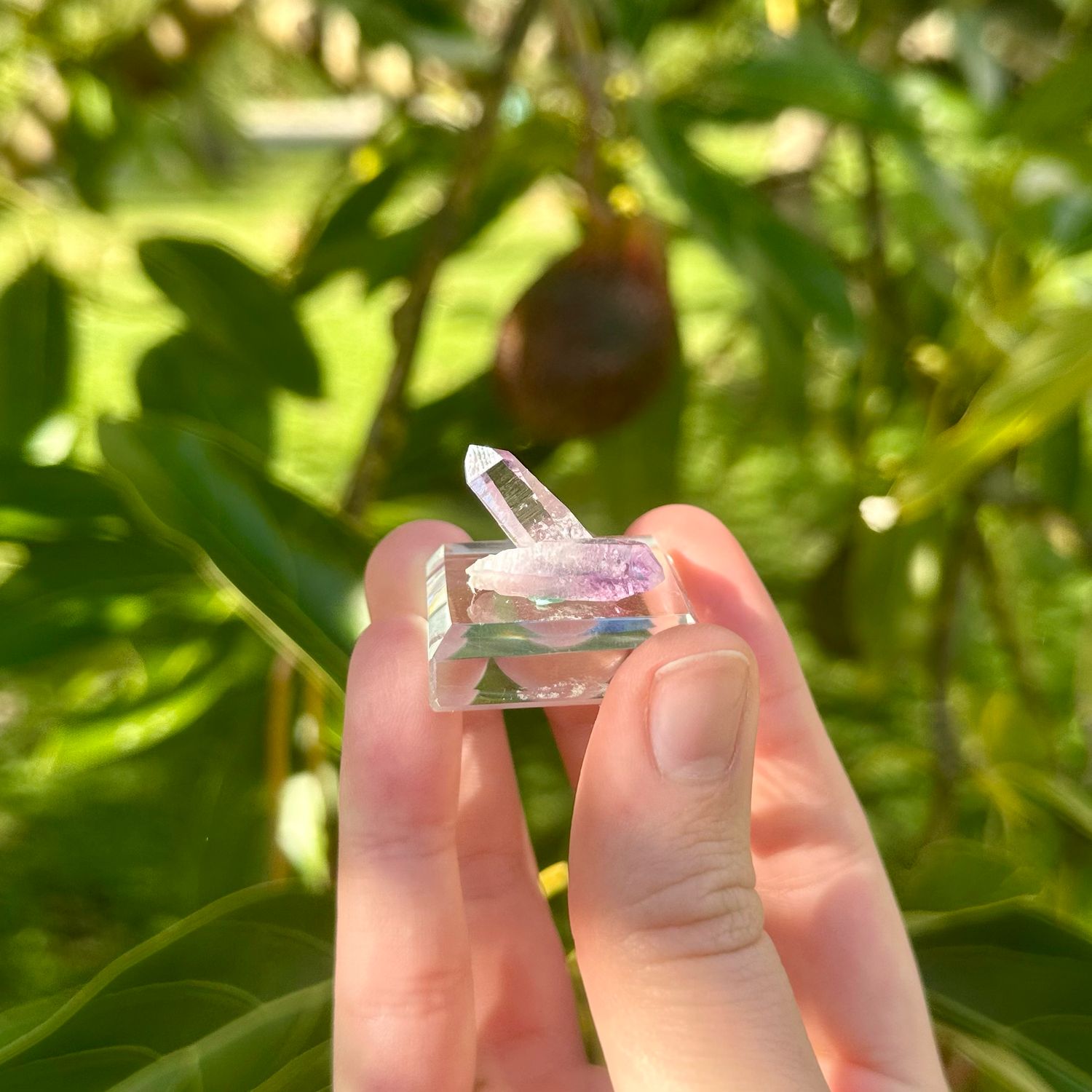 Cruz Amethyst Specimen On Glass Stand