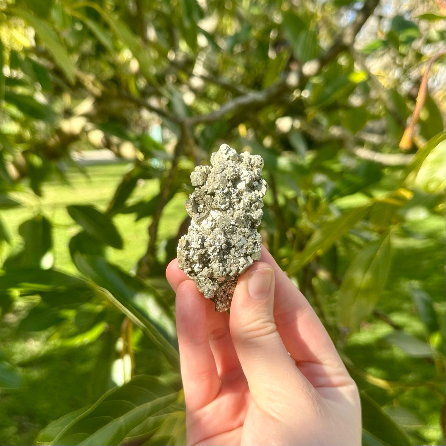 Pyrite Specimen