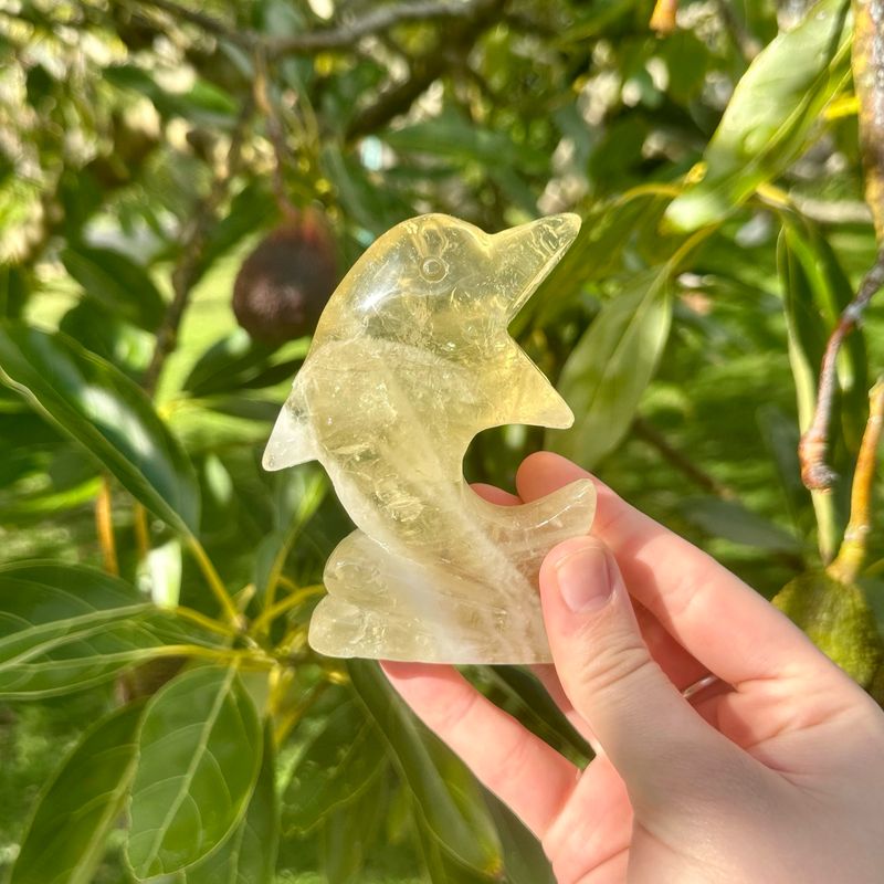 Citrine Dolphin