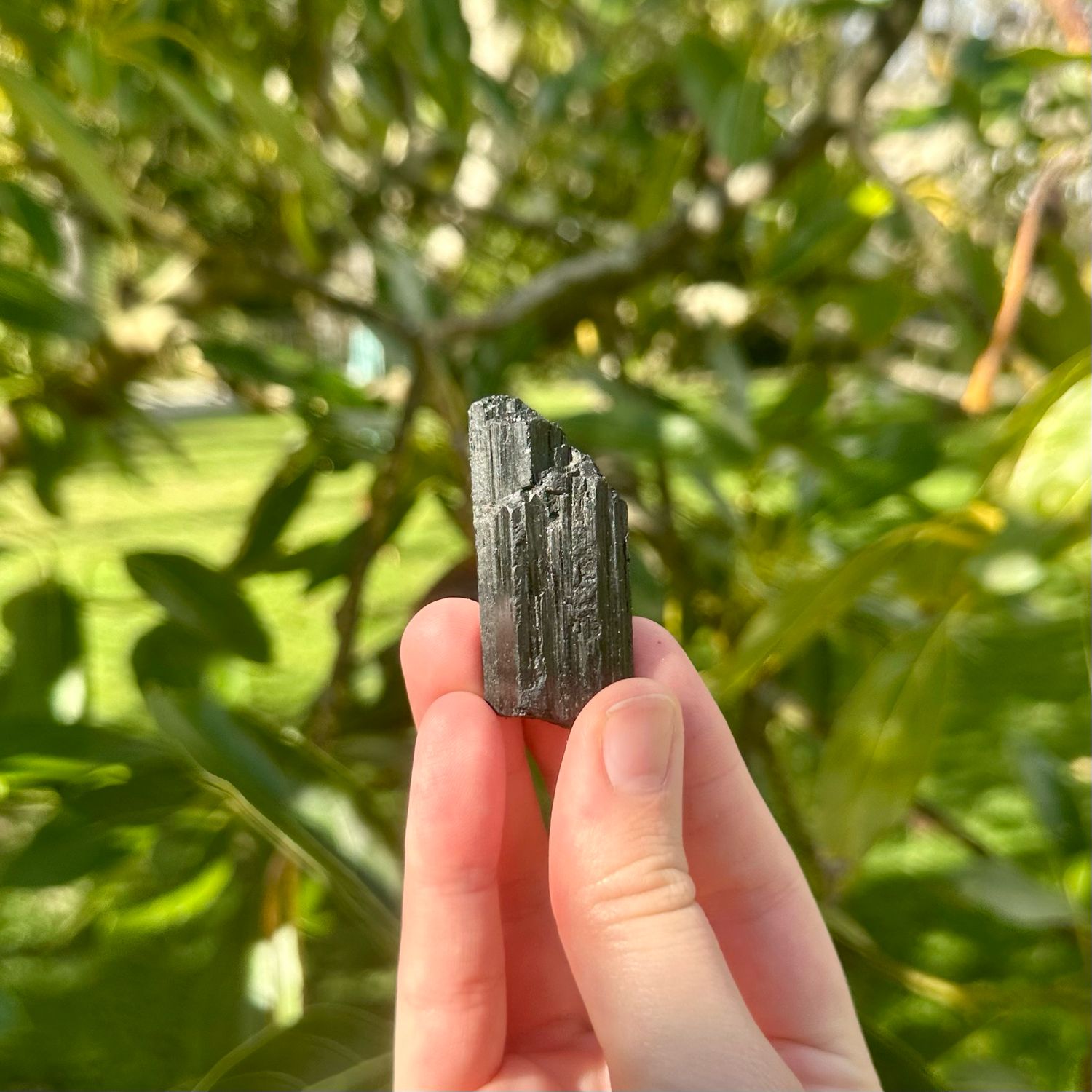 Black Tourmaline Raw