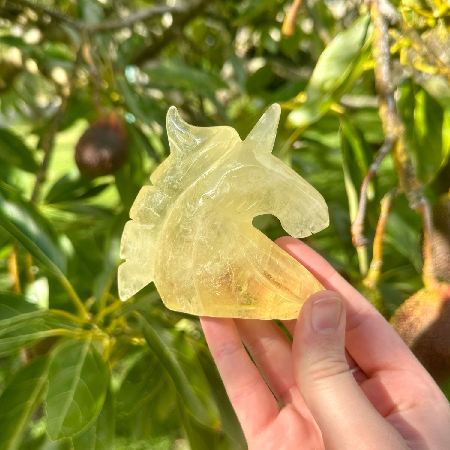 Citrine Unicorn Head