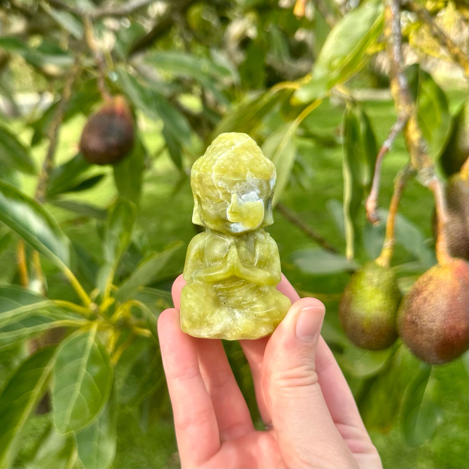 Lemon Jade Buddha