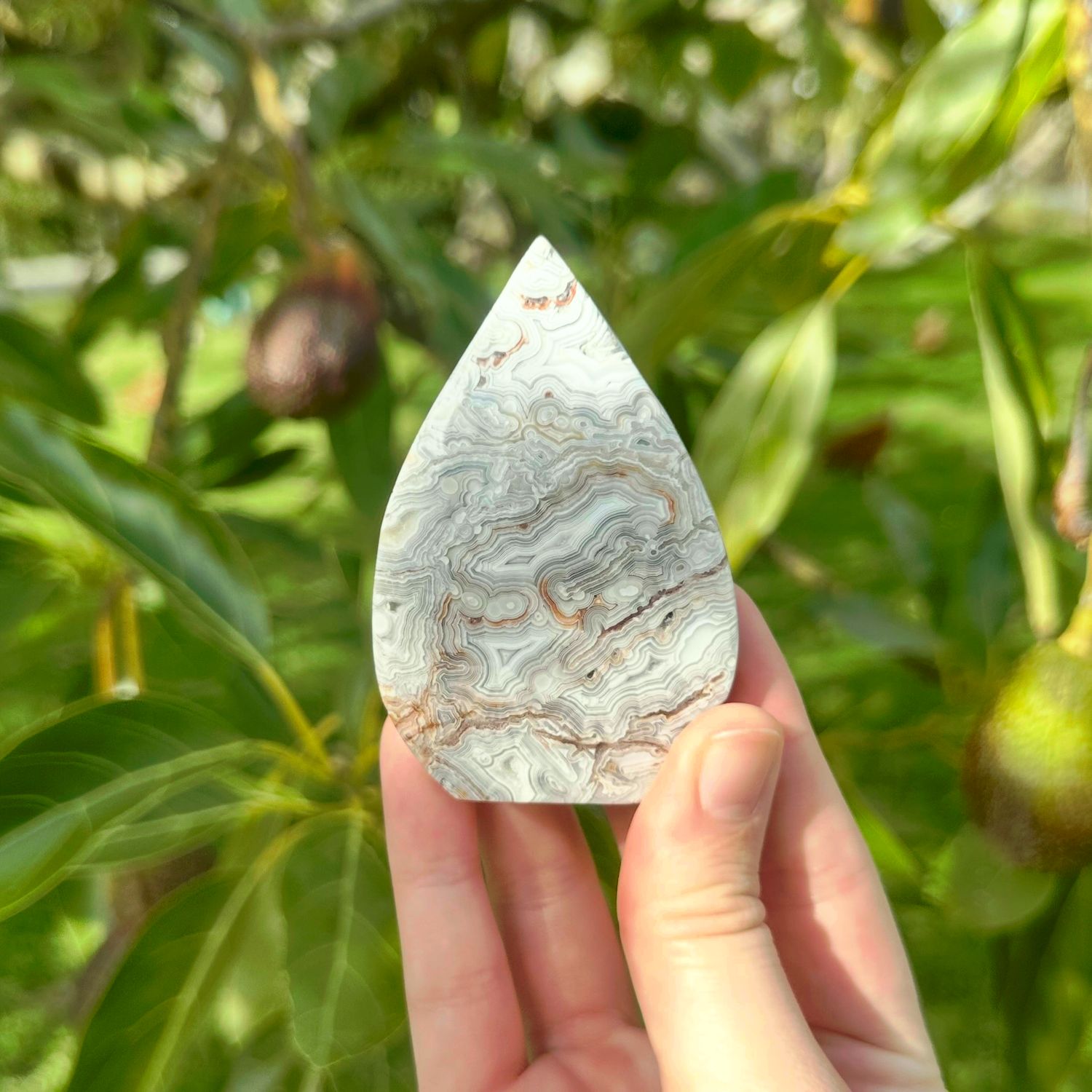Mexican Crazy Lace Agate
