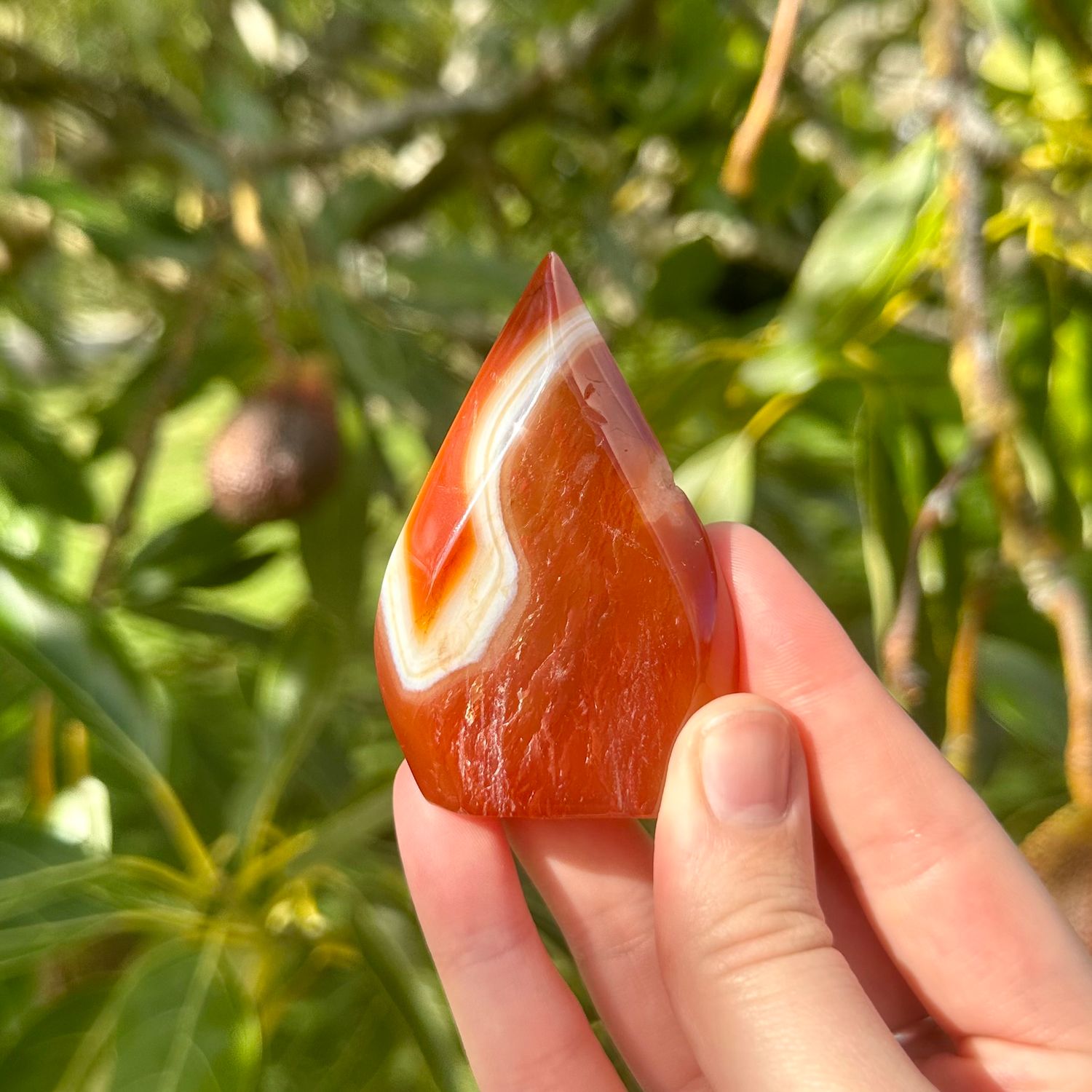 Carnelian Flame