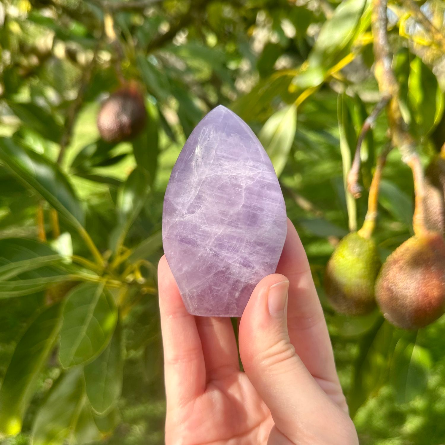 Amethyst Flame