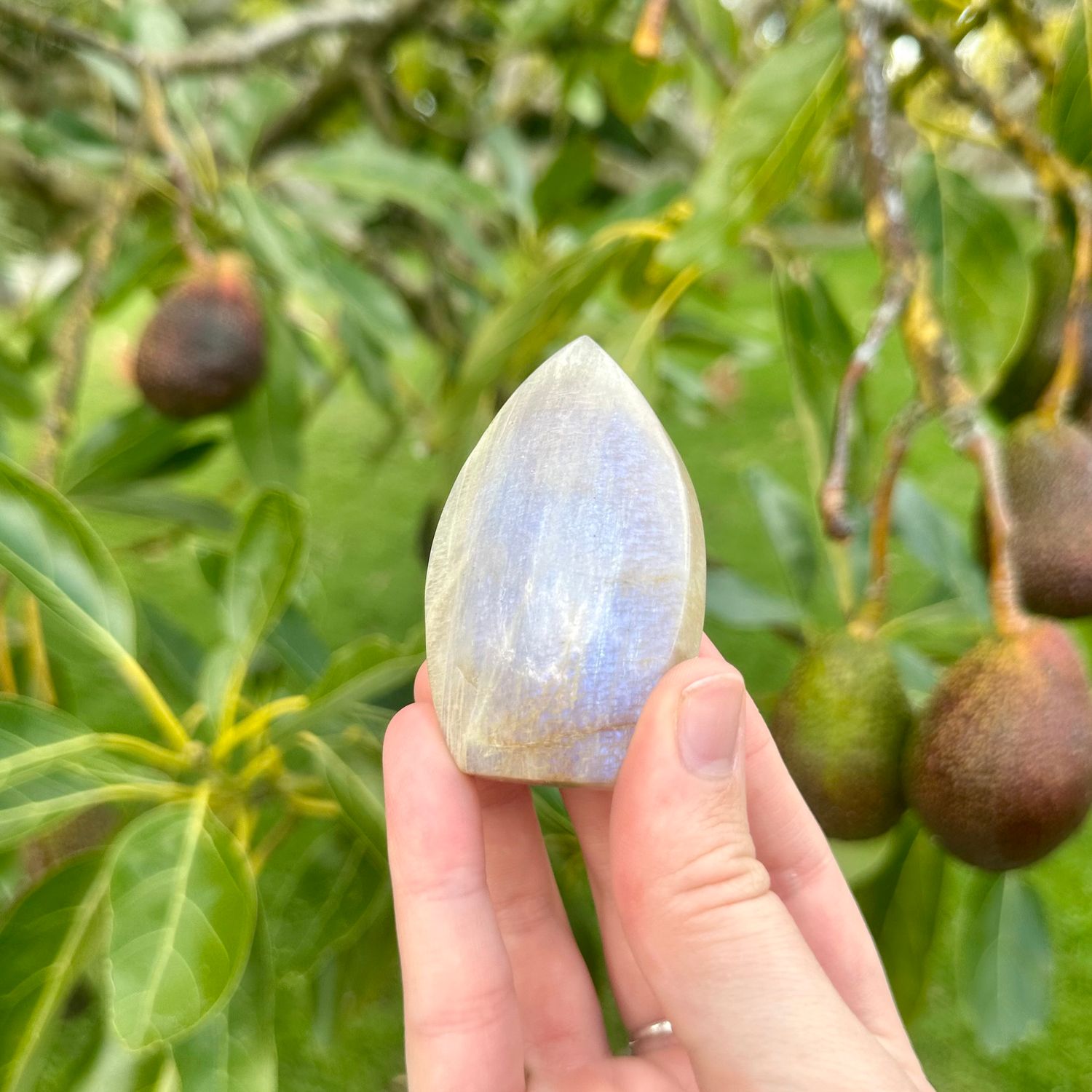 Moonstone Flame