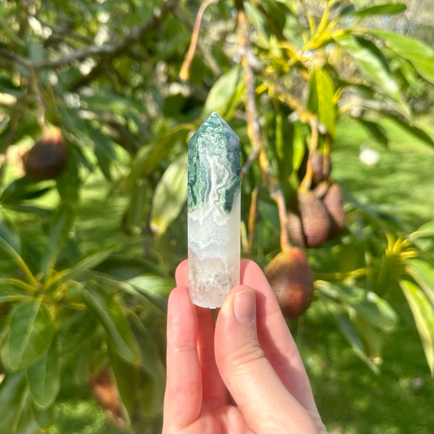 Moss Agate Point