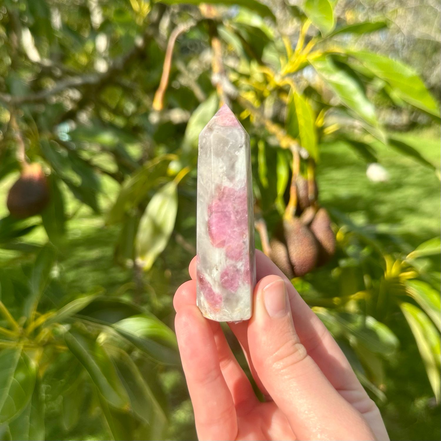 Pink Tourmaline Point