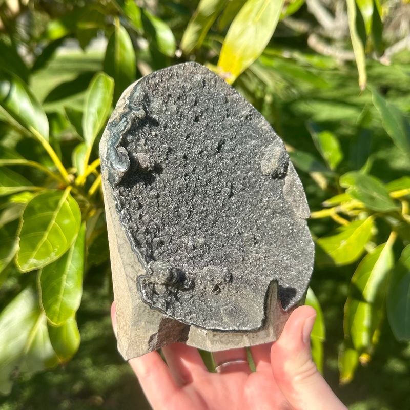 Black Amethyst Freeform
