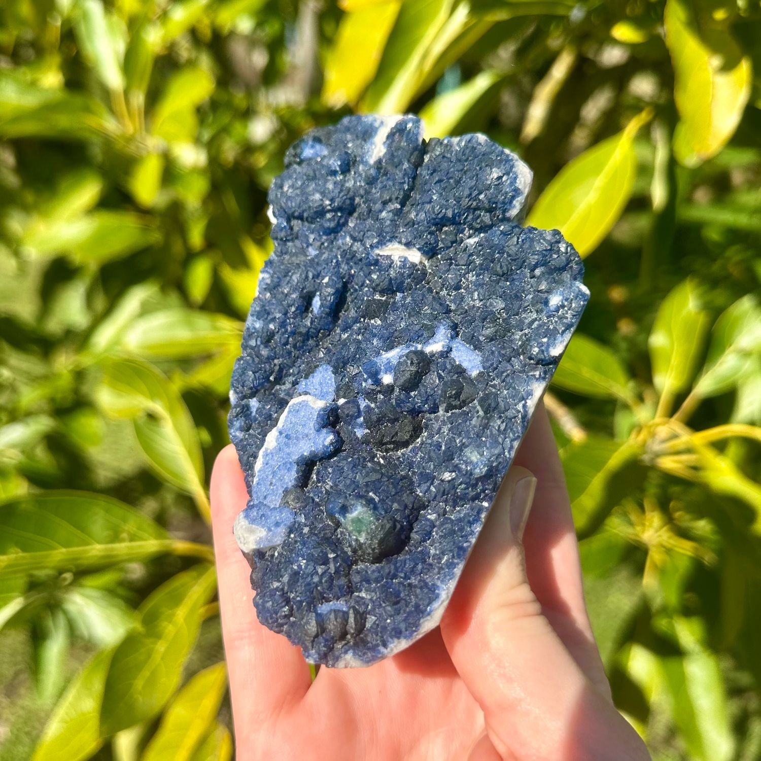 Blueberry Fluorite Specimen
