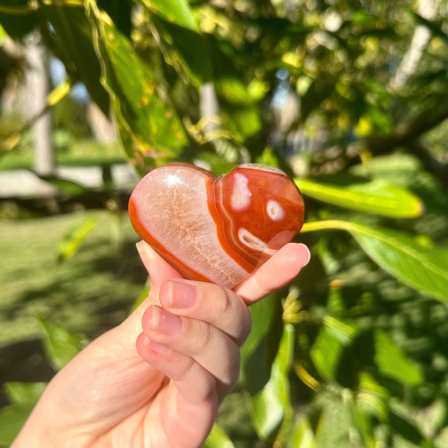 Carnelian Heart
