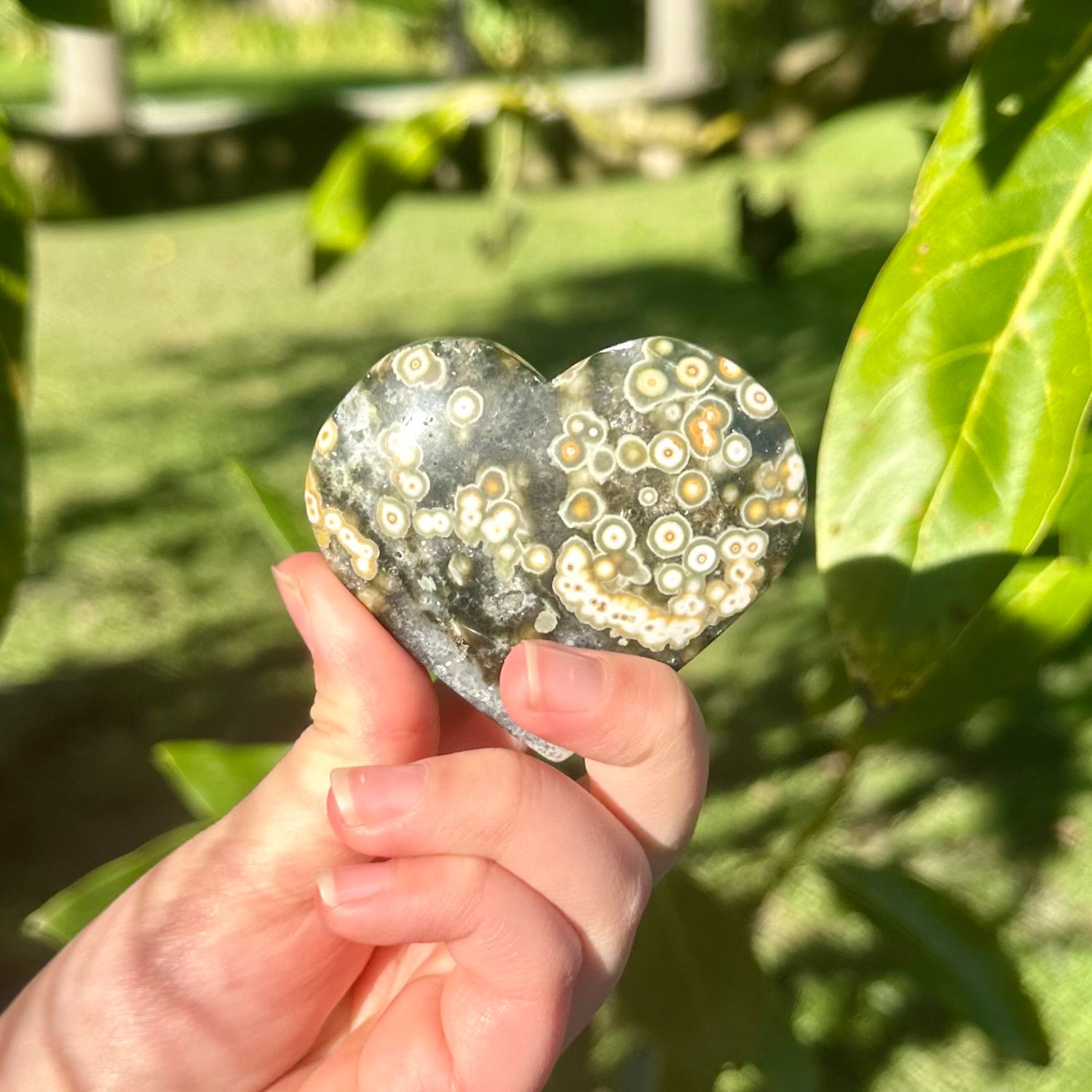 ​Orbicular Ocean Jasper Heart