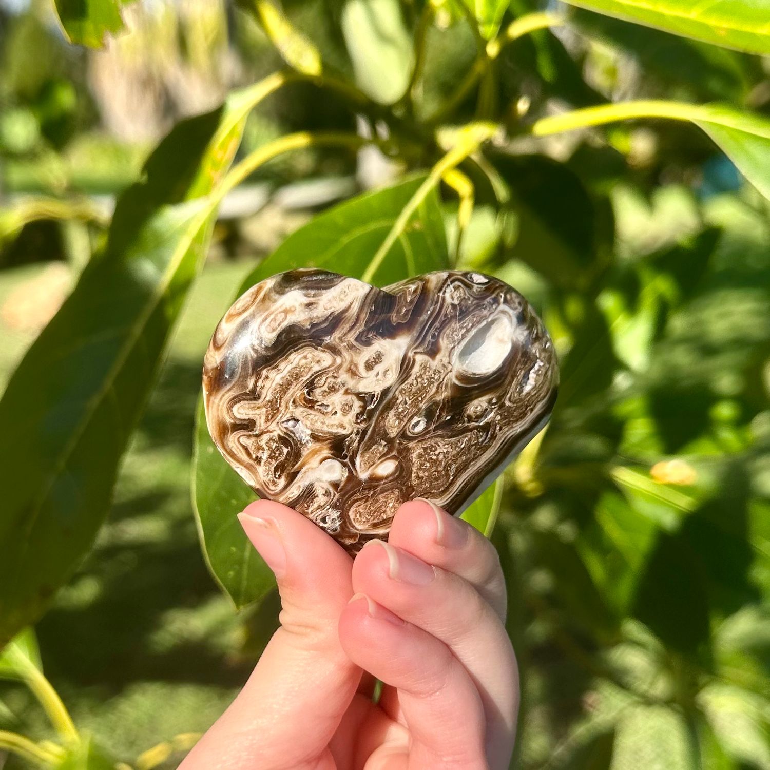Coffee Opal Heart
