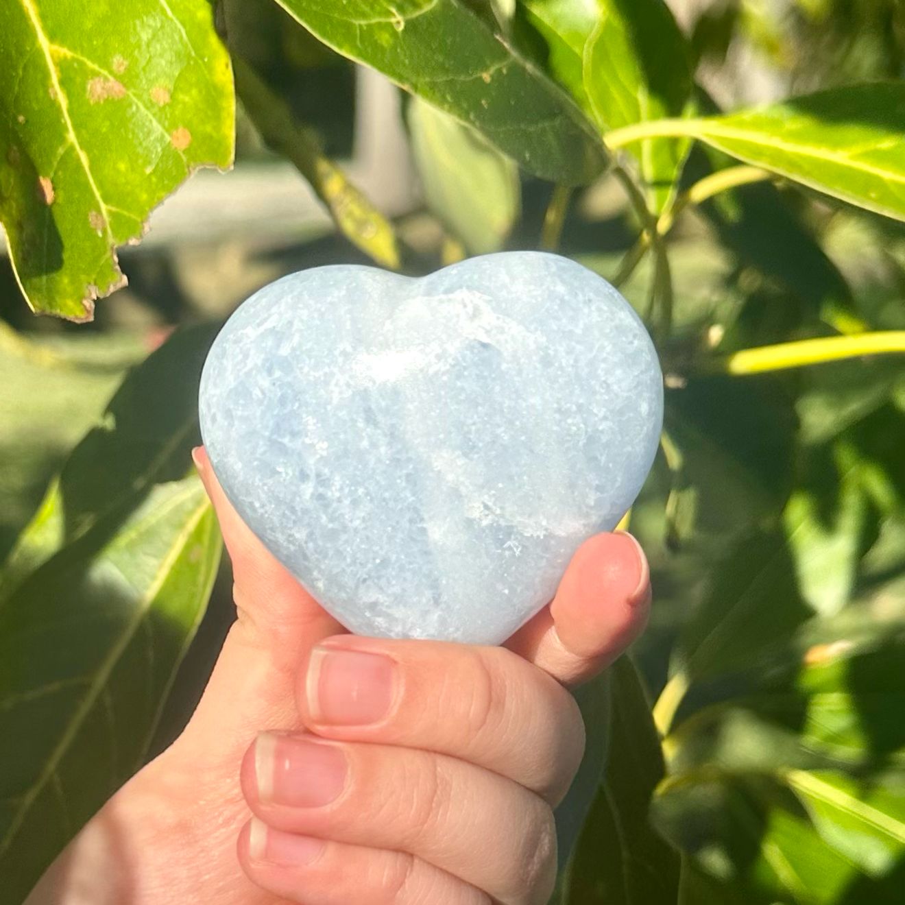 Celestite Heart