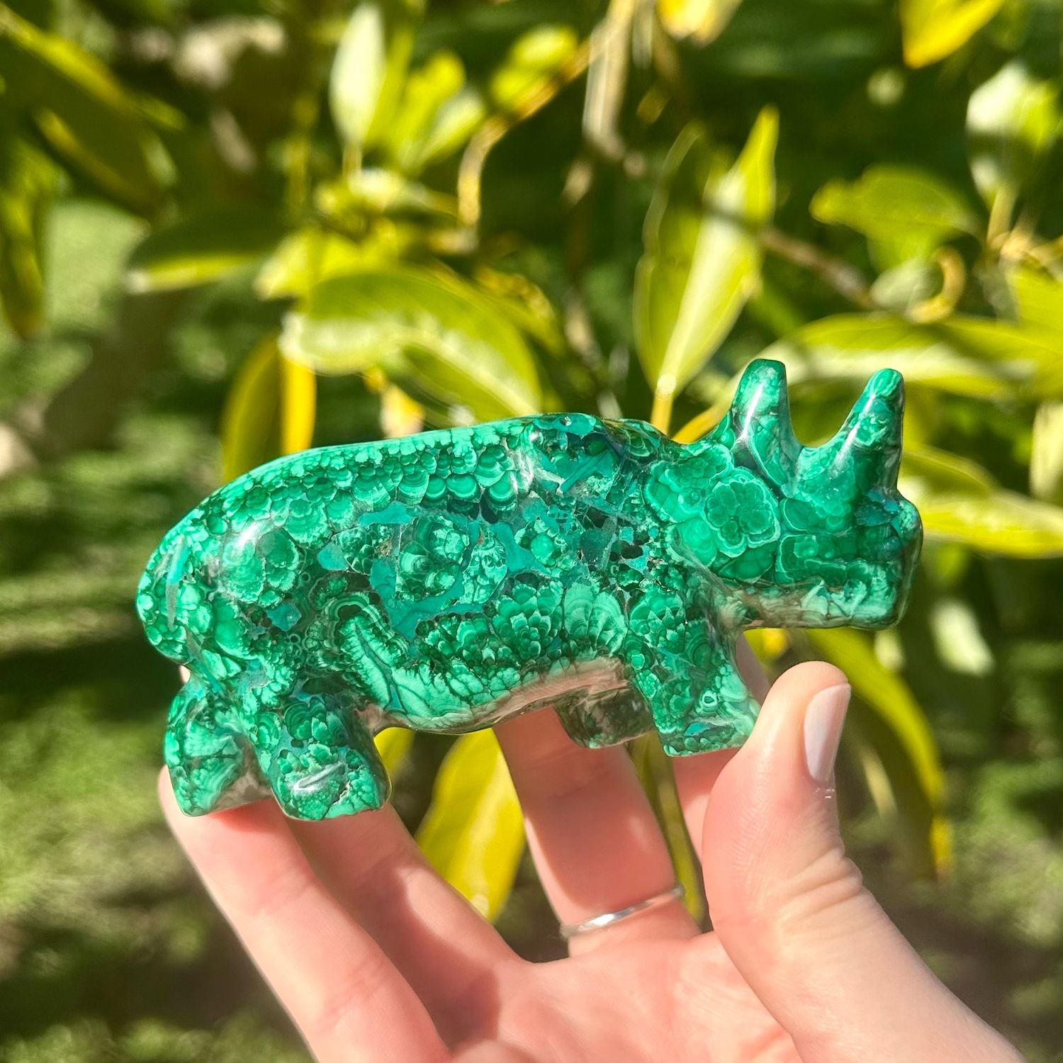 Malachite Rhino