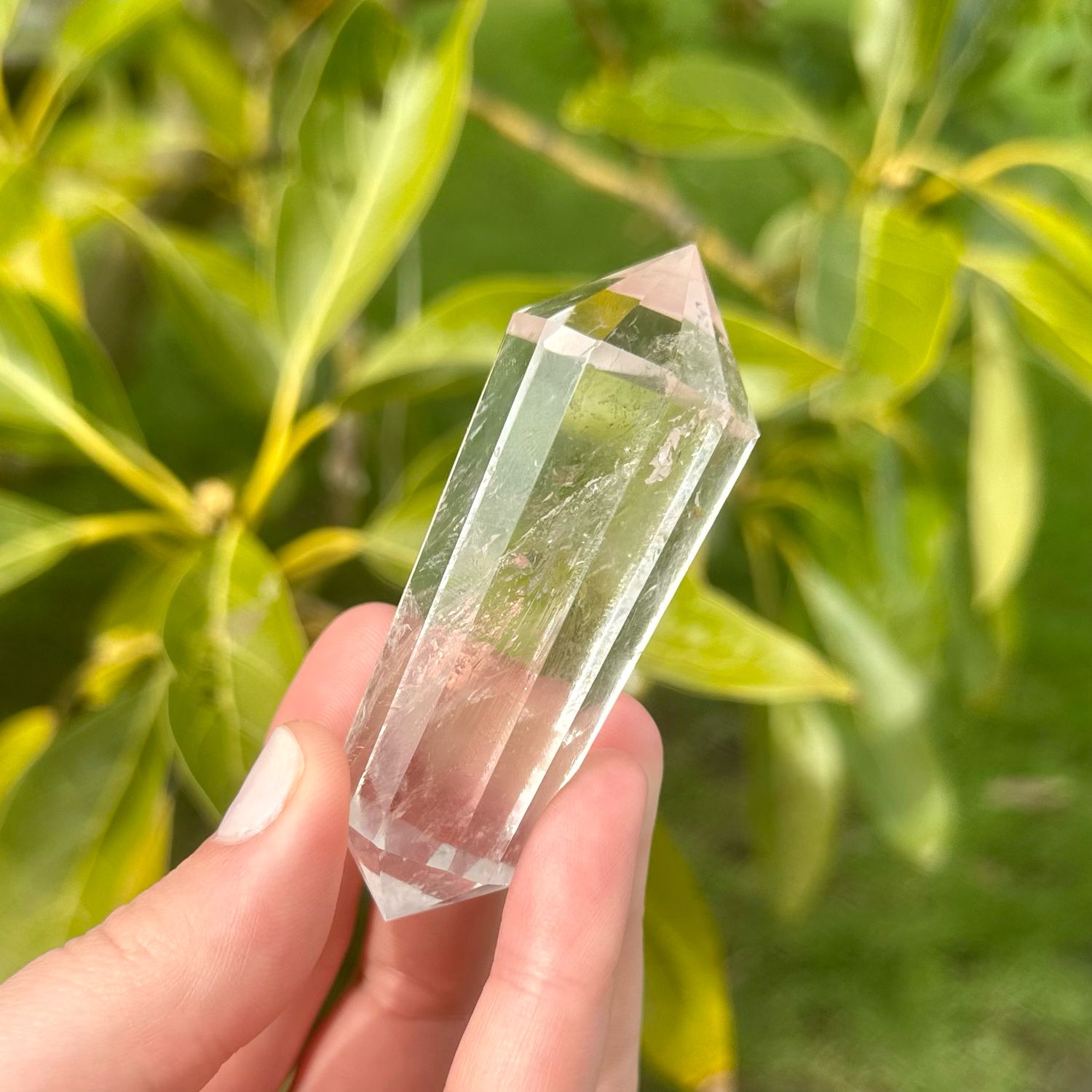 Clear Quartz Vogel