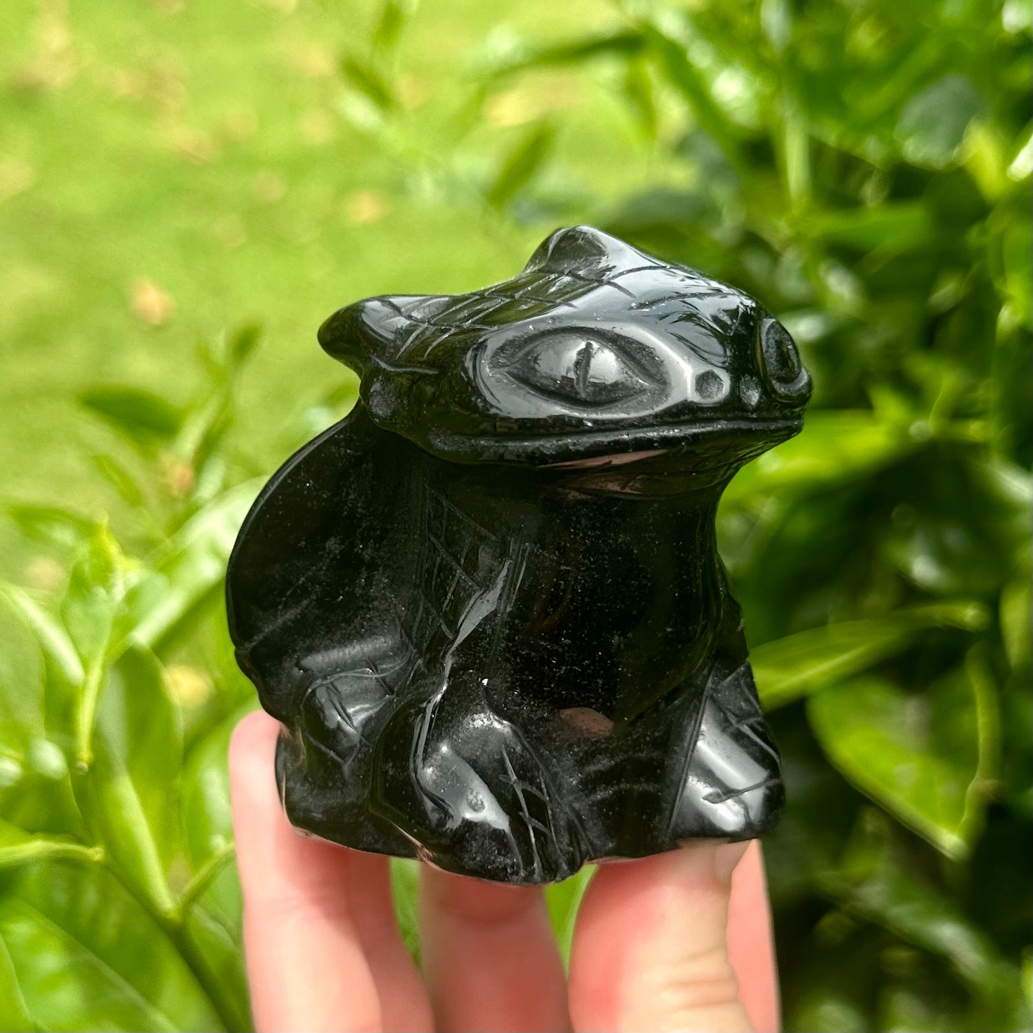 Black Obsidian Toothless