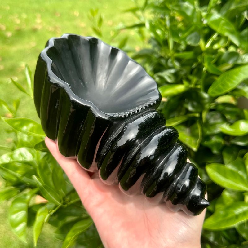 Black Obsidian Shell Bowl