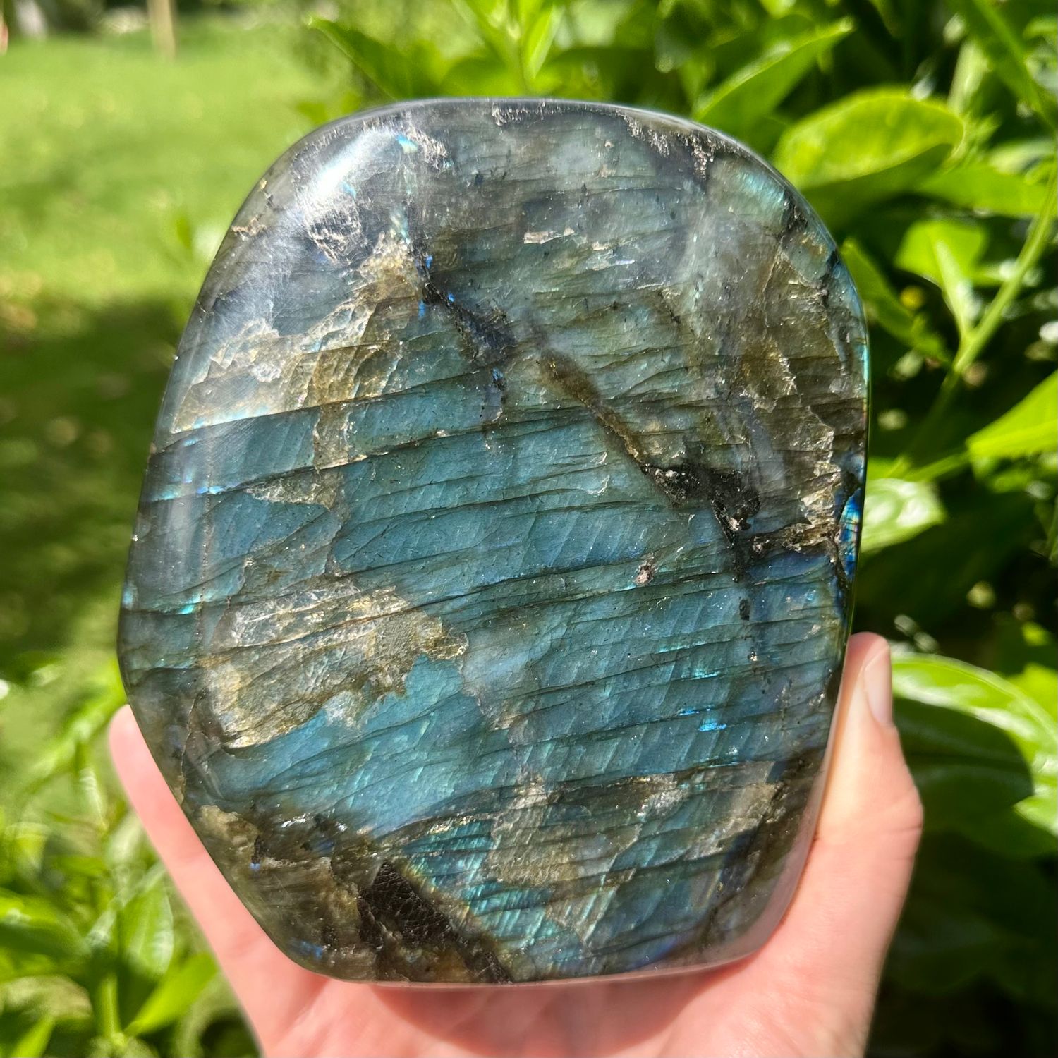 Labradorite Freeform
