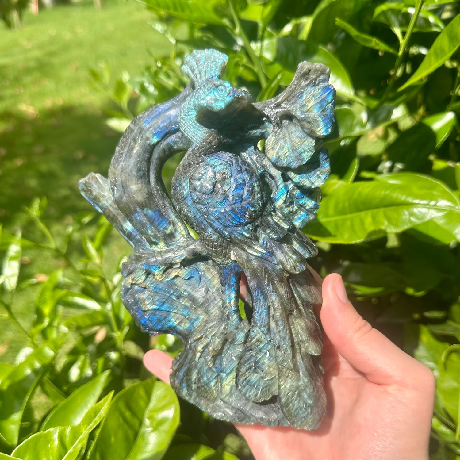 Labradorite Peacock