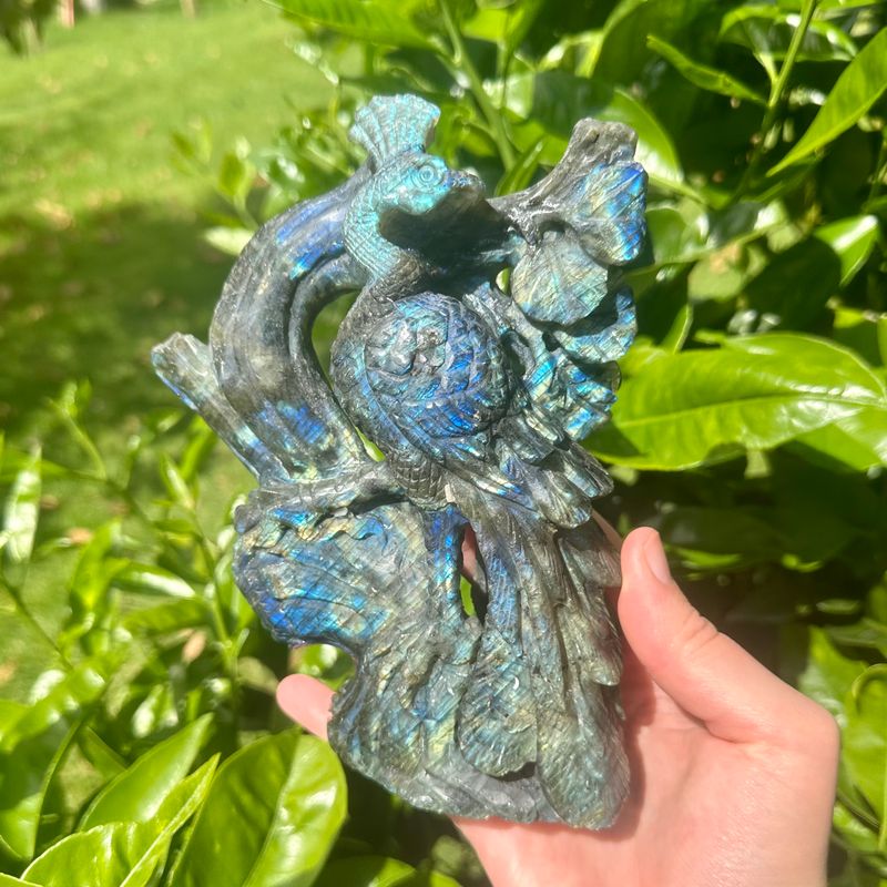 Labradorite Peacock