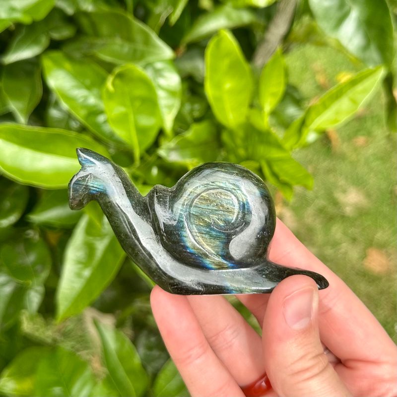 Labradorite Snail