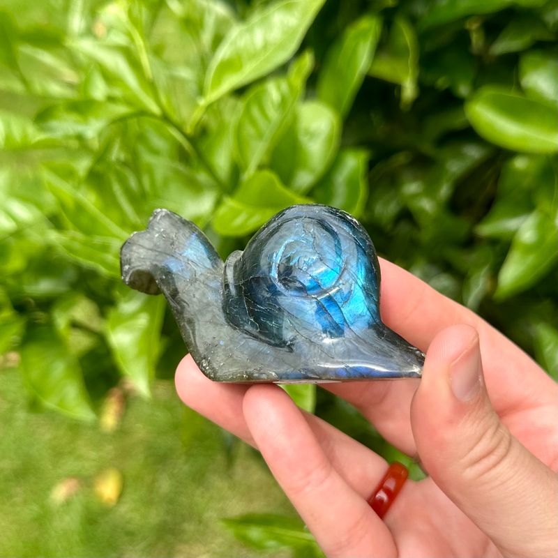 Labradorite Snail