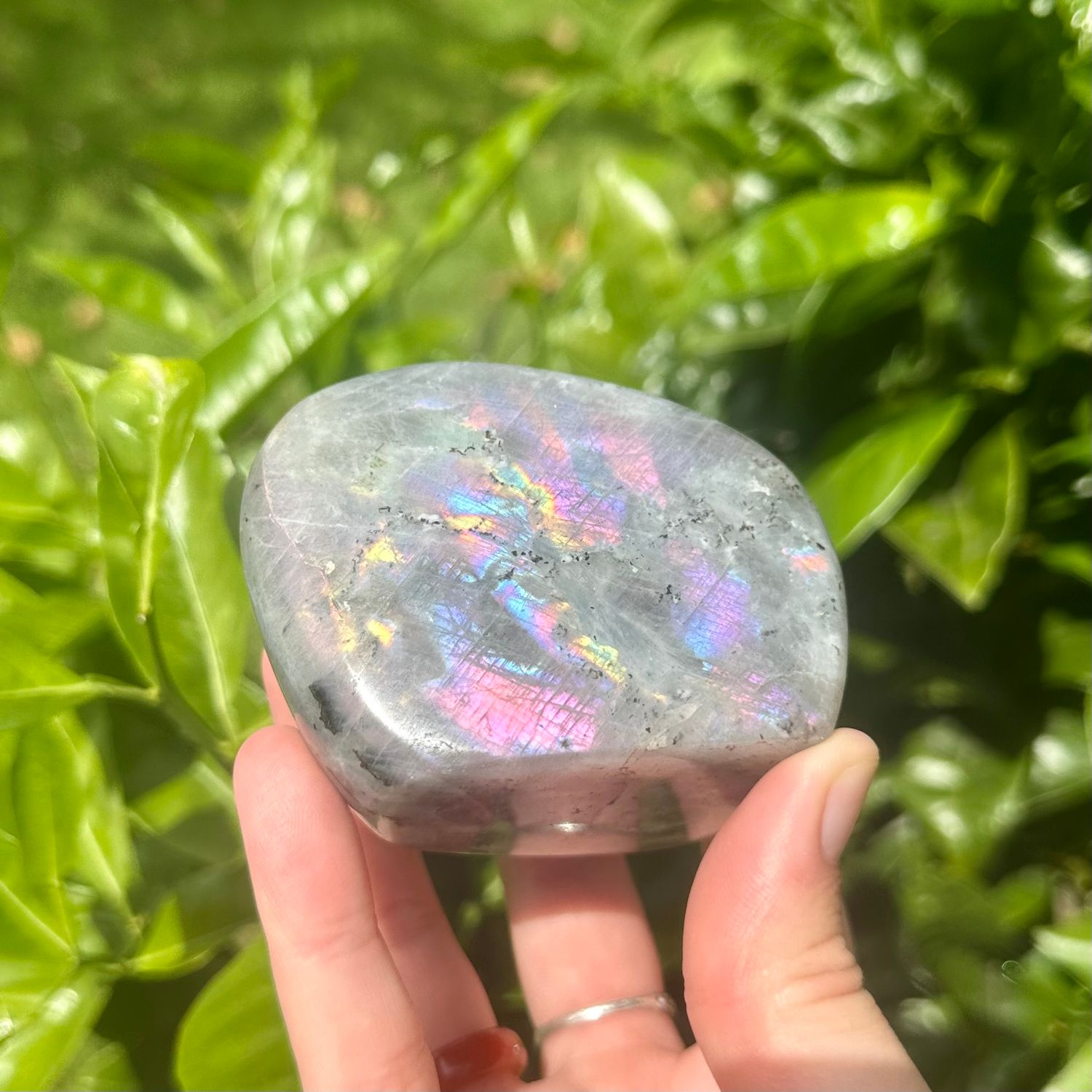 Labradorite Freeform