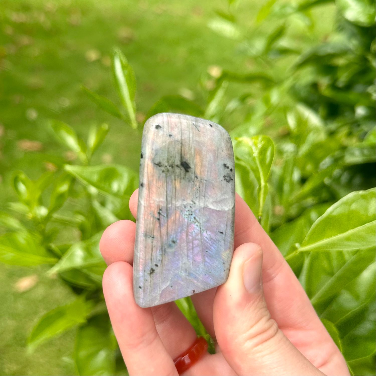 Labradorite Freeform