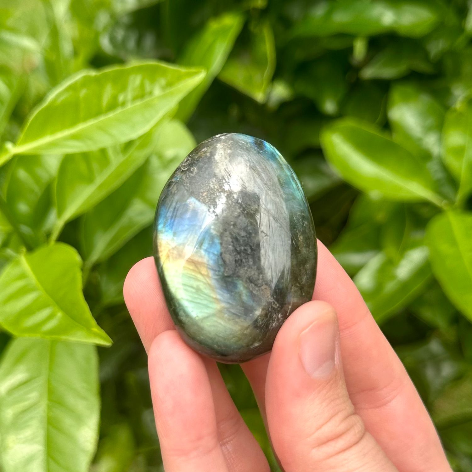 Labradorite Palm Stone