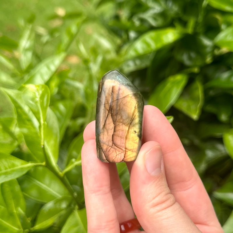 Labradorite Freeform