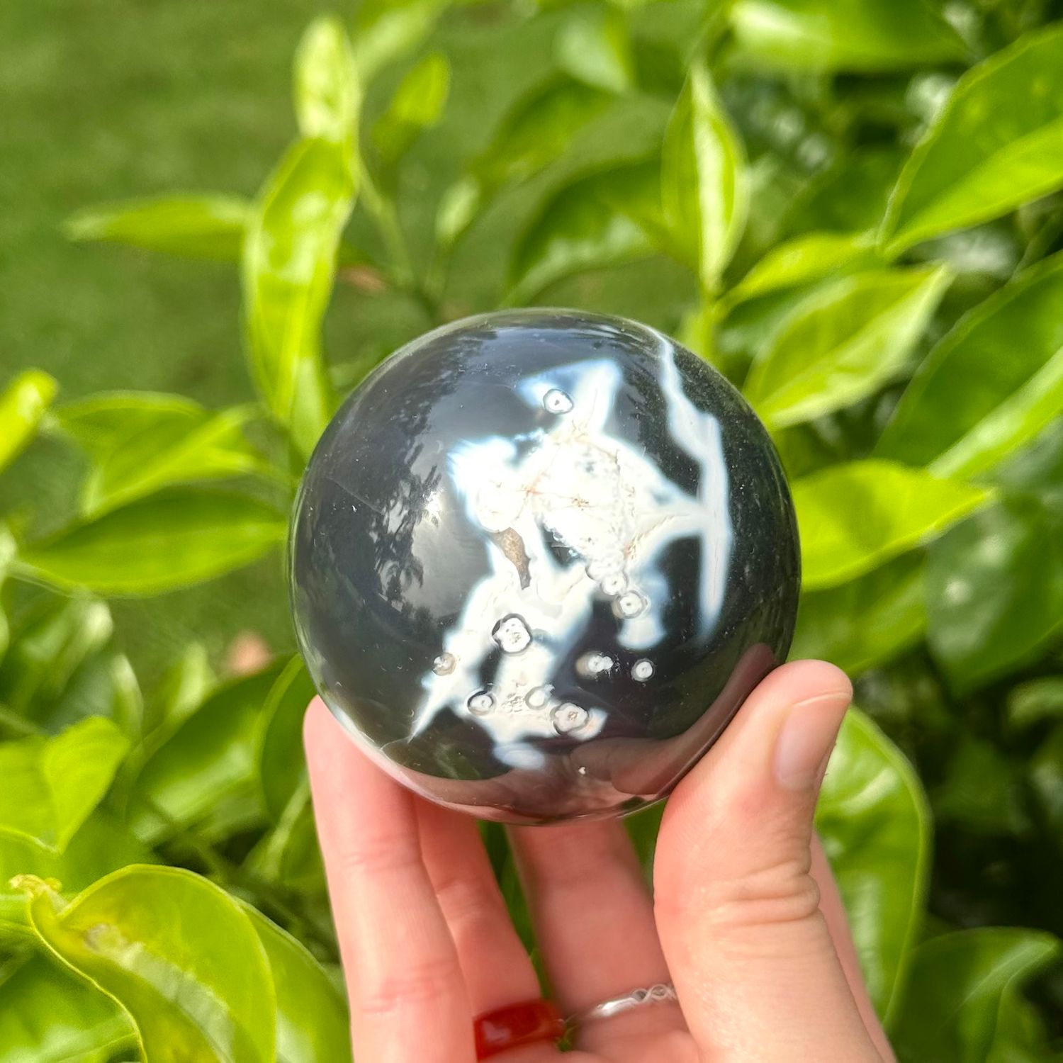 Orca Agate Sphere