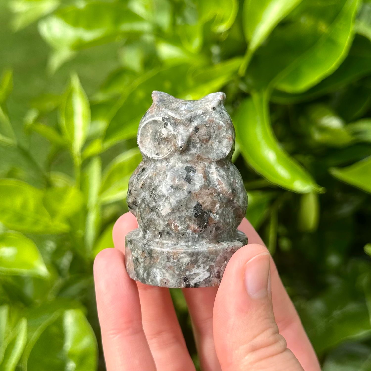 Yooperlite Owl