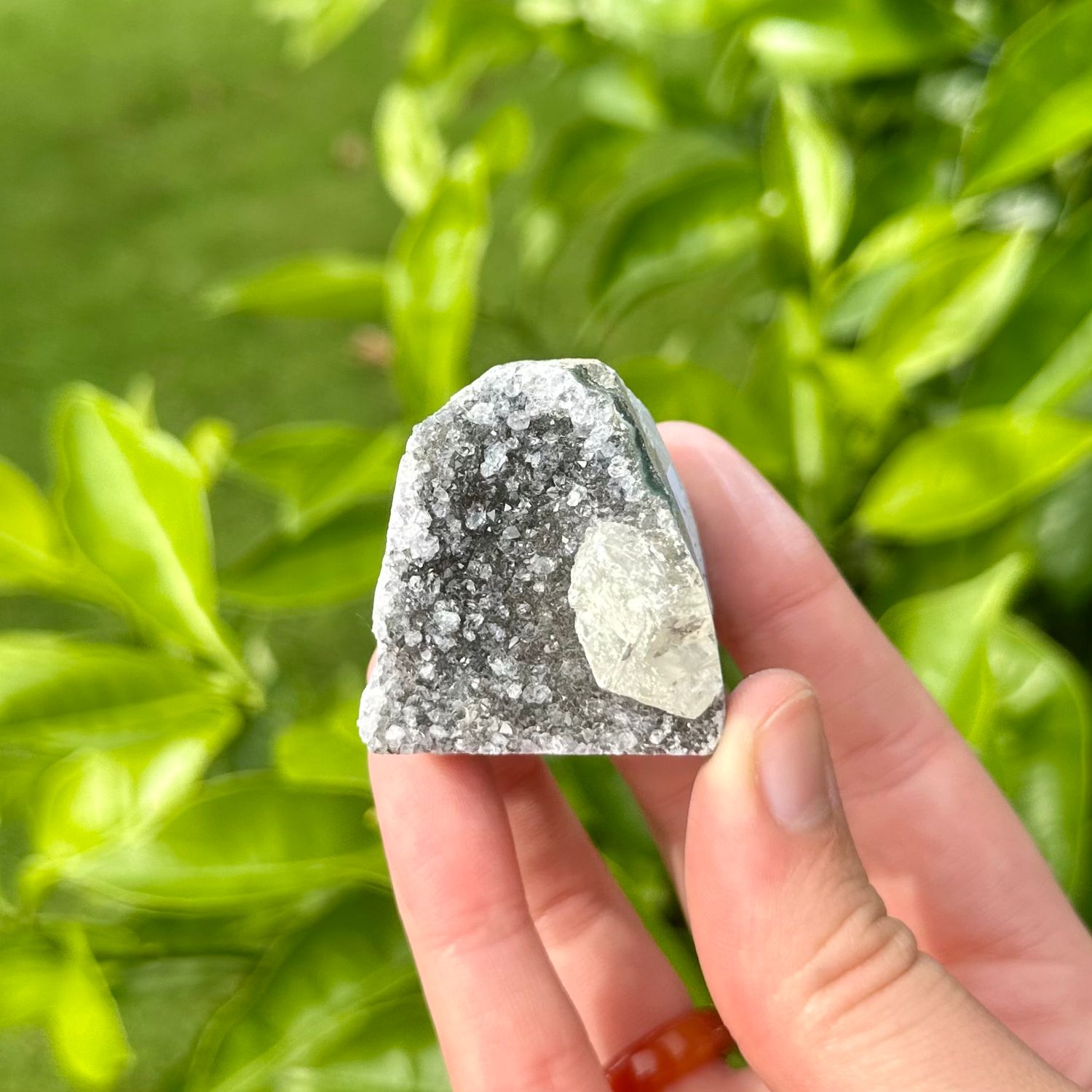 Black Amethyst Cut Base