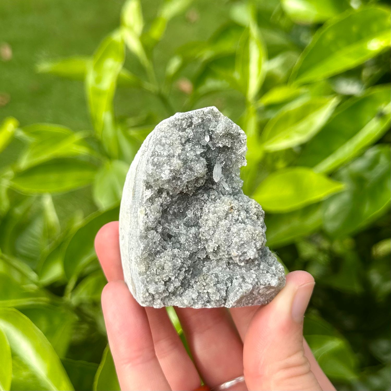 Black Amethyst Cut Base