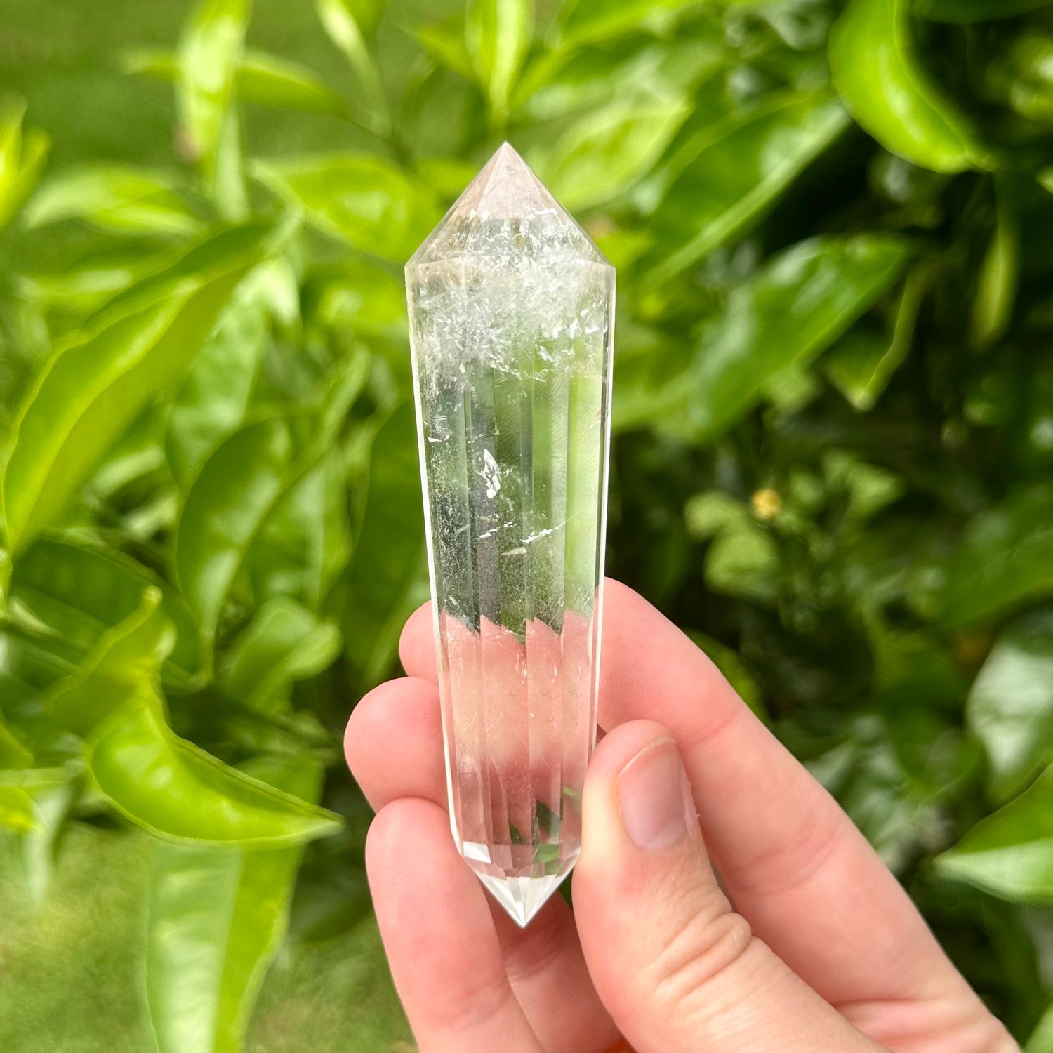 Clear Quartz Vogel