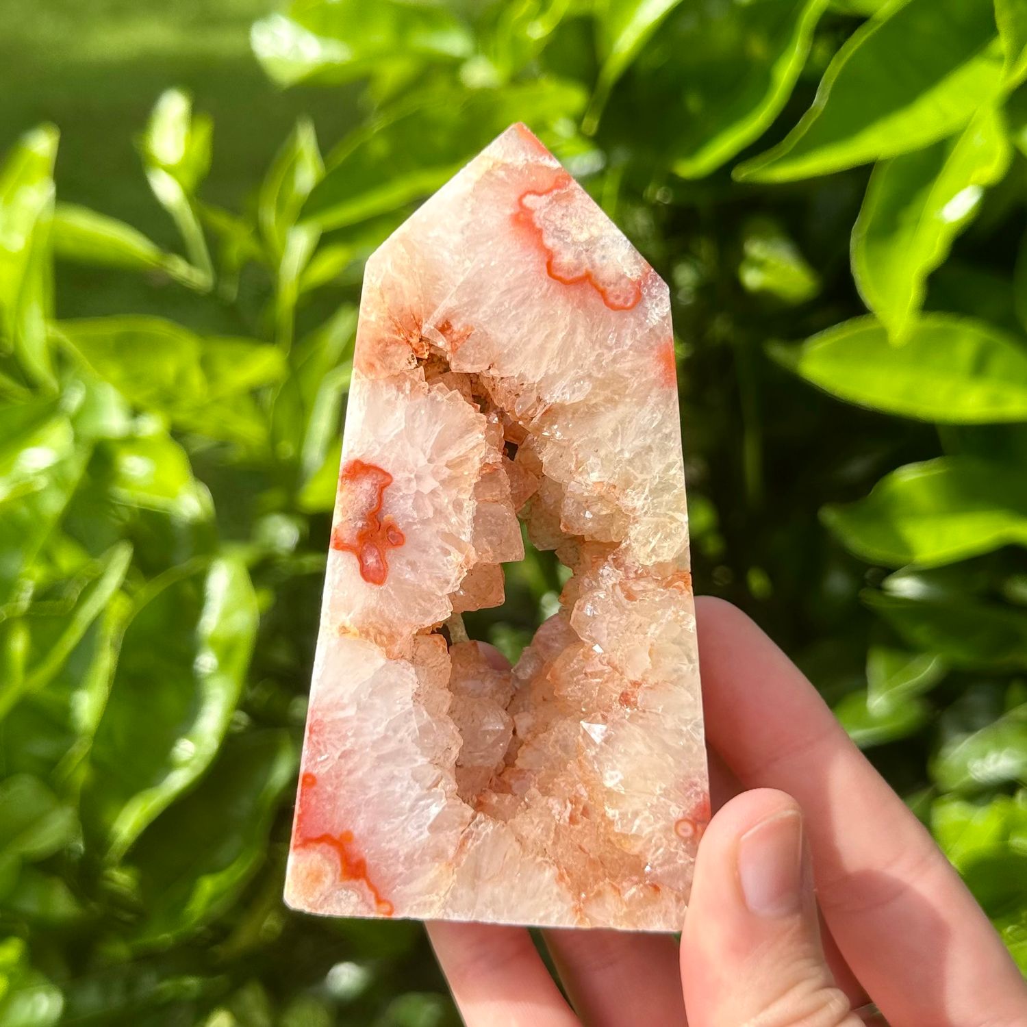 Carnelian with Flower Agate