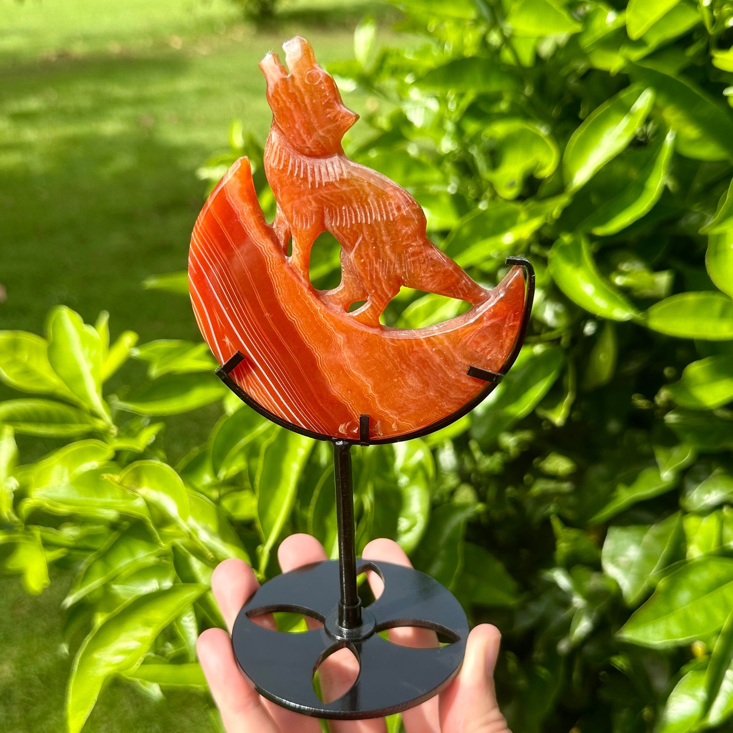 Carnelian Howling Wolf