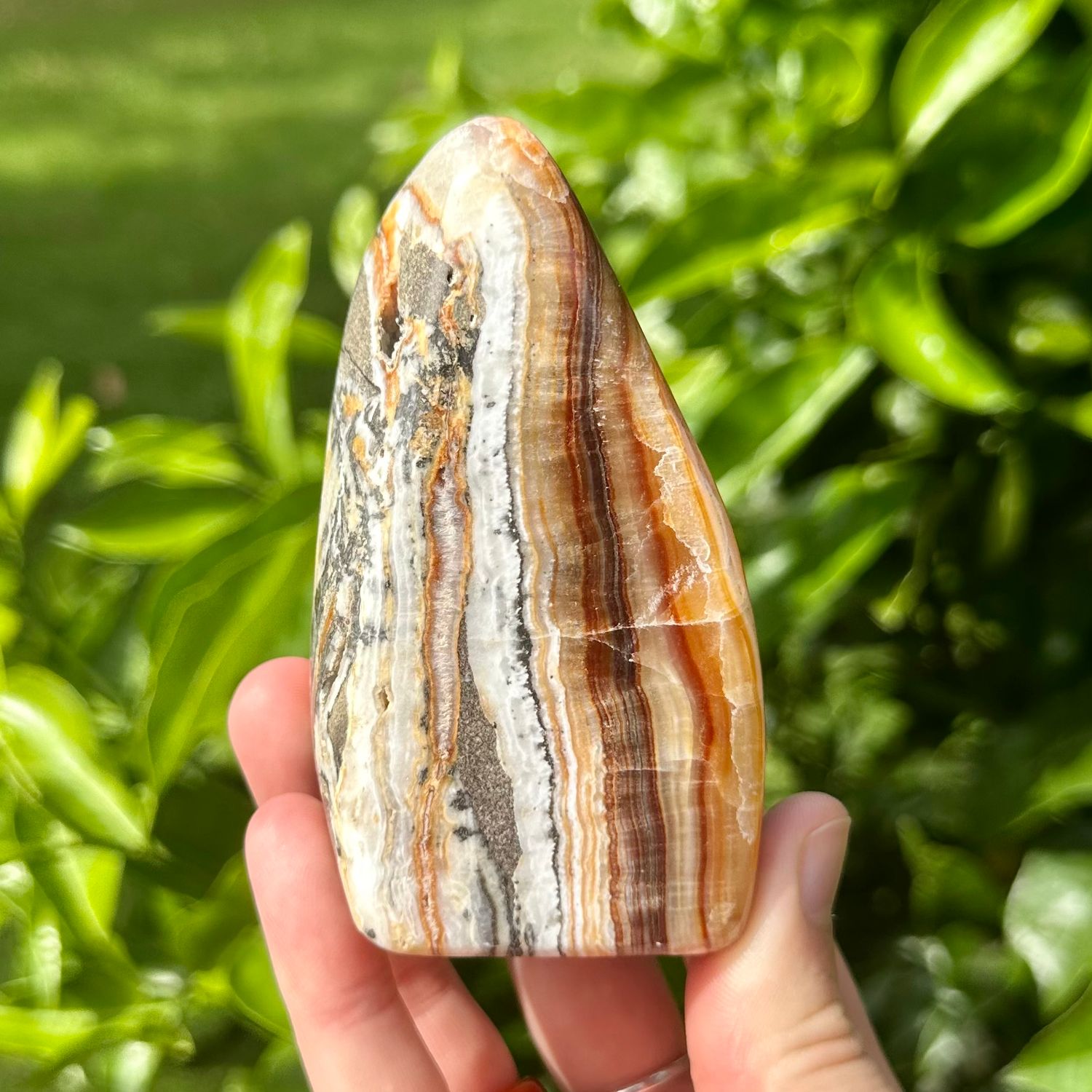Brown Aragonite Freeform