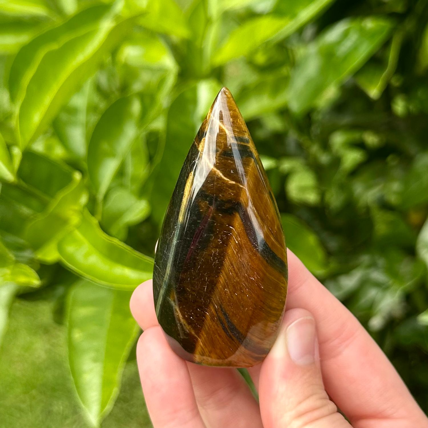 Tigers Eye Flame
