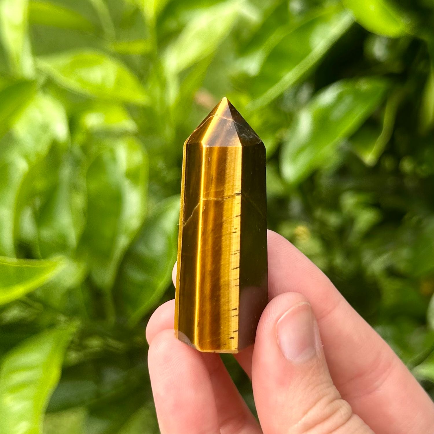 Tigers Eye Point