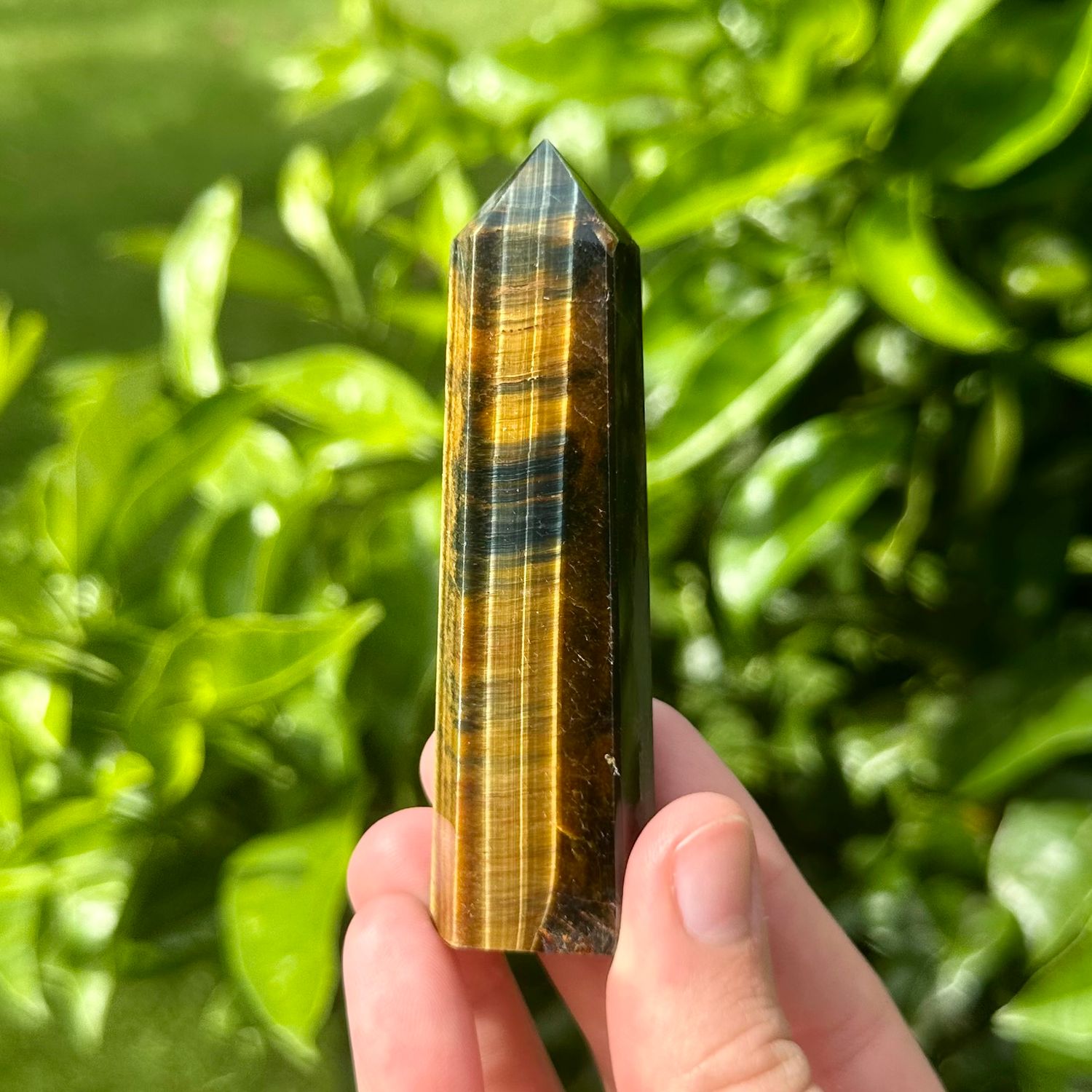 Tigers Eye Point