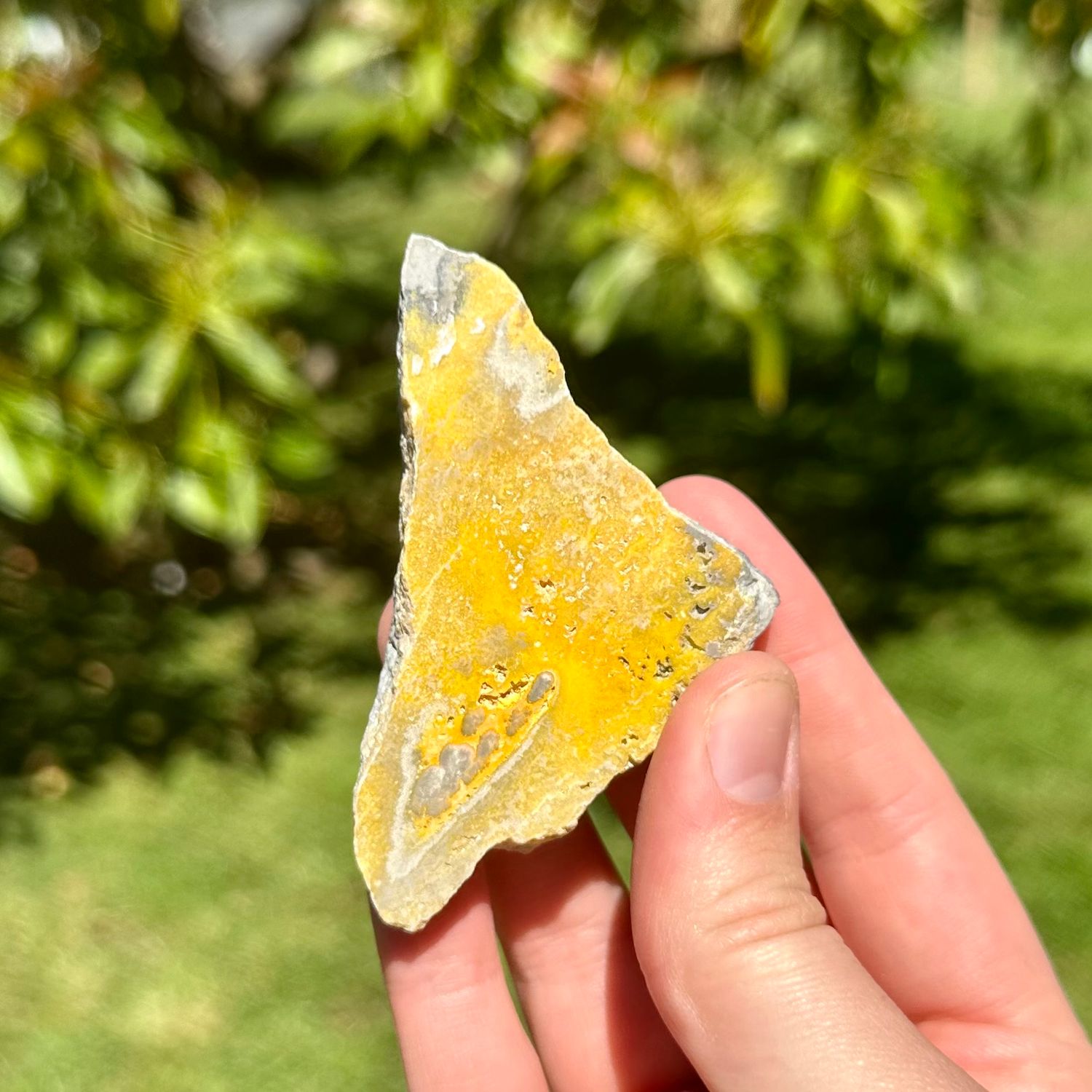 Bumble Bee Jasper Chunk