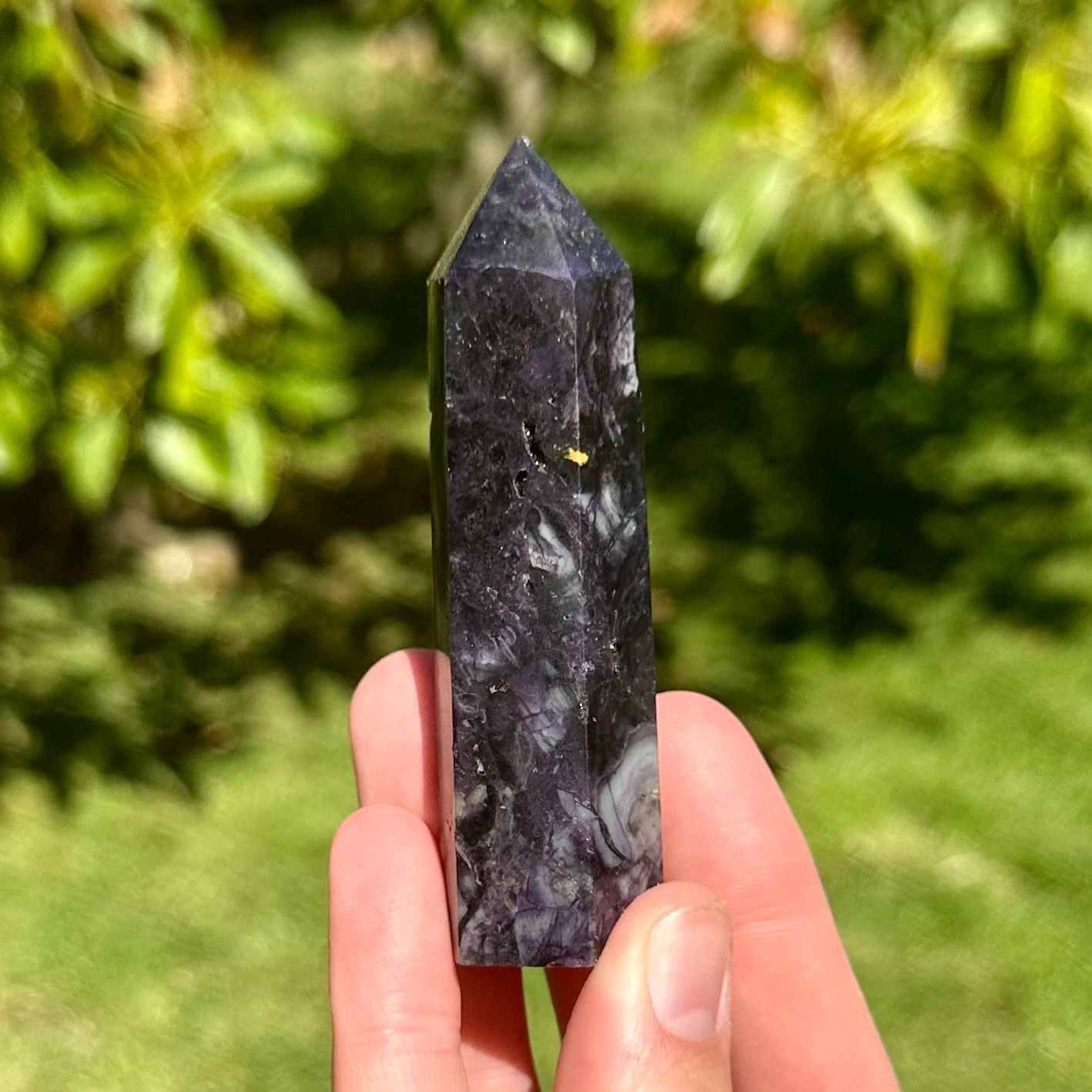 Fluorite Root Point