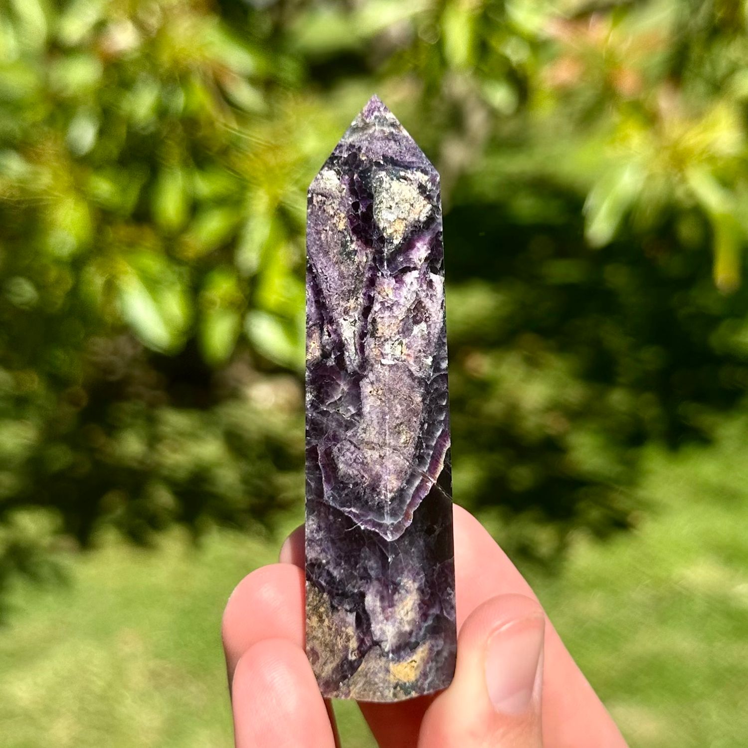 Fluorite Root Point