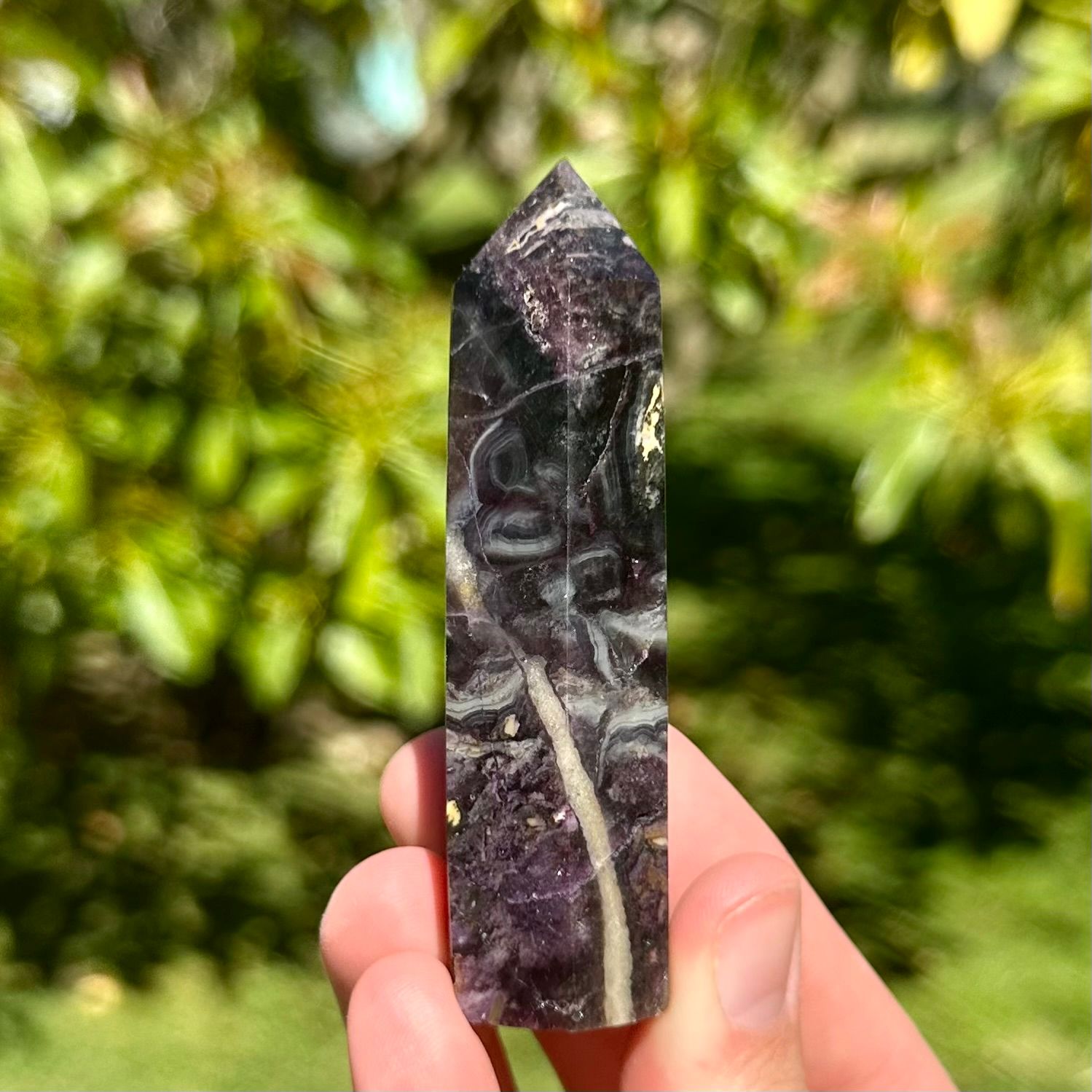 Fluorite Root Point