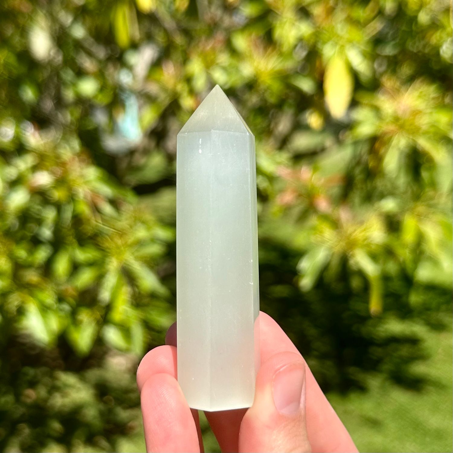 White Cats Eye Point