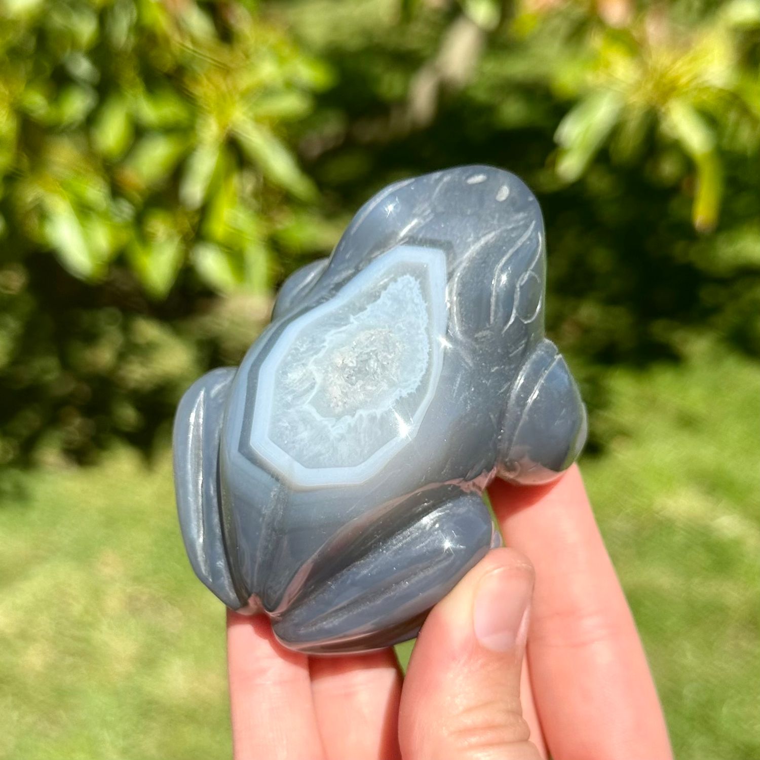 Druzy Agate Frog