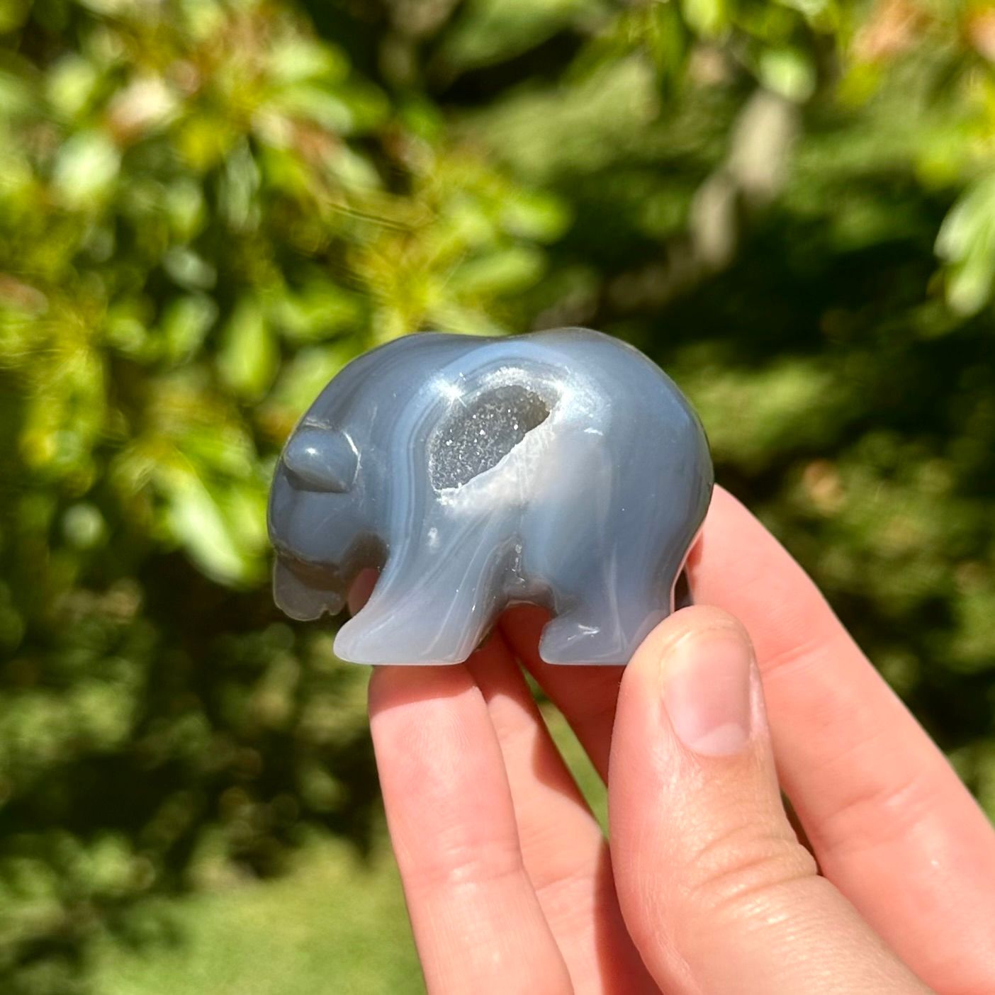 Druzy Agate Bear